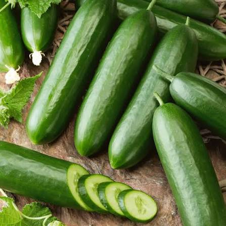 خرید خیار درختی تازه از تولیدکننده 2